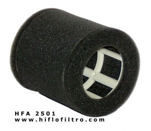 Основное фото HIFLO FILTRO фильтр воздушный HFA2501