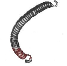 Основное фото Пружина крепления глушителя длинная Рысь (113.05.000.029)