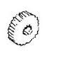 Основное фото Шестерня Тайга тормоза ст.обр (С40600003)