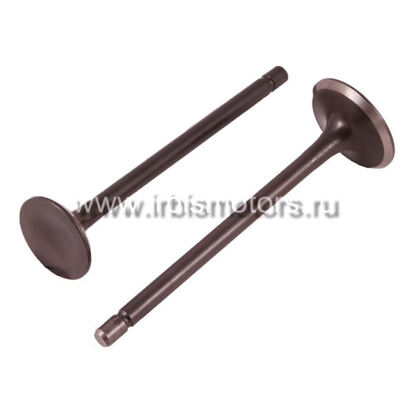 Основное Фото товара Клапаны (впуск/выпуск) 156FMI, 157FMI (CG125) (d=24/29)