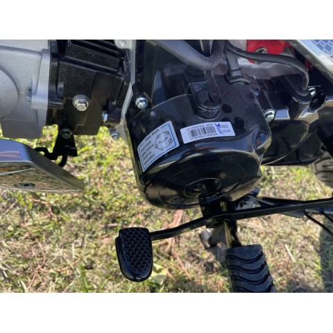 Дополнительное фото товара Мопед 110cc MILLENNIUM Delta Sport L