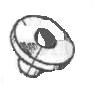 Основное фото Шайба болта крепления вариатора Рысь (113.10.000.002)